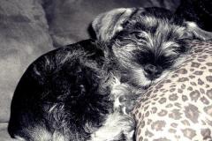 Baxter-Baby-Pictures-1