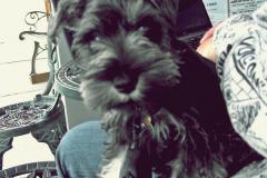 Baxter-Baby-Pictures-5