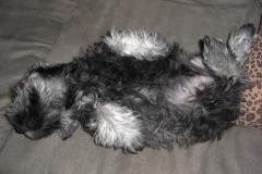 Baxter-Baby-Pictures-7