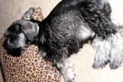 Baxter-Baby-Pictures-8