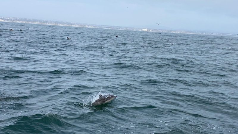 2021-05-01-056-scaled