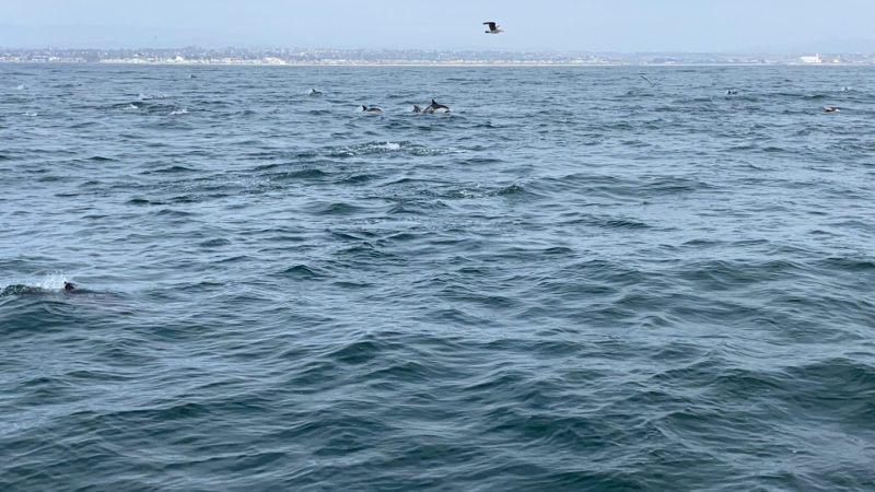 2021-05-01-064-scaled