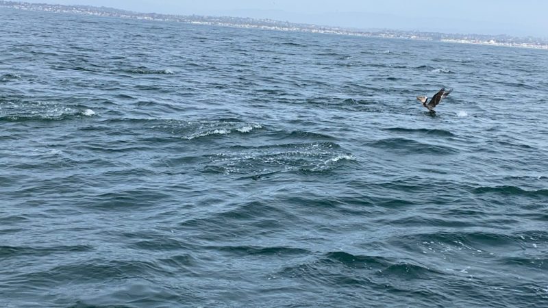 2021-05-01-067-scaled