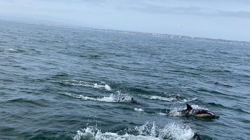 2021-05-01-092-scaled