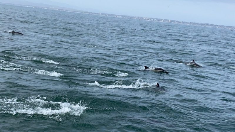 2021-05-01-094-scaled