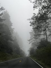 IMG_3377-conv-scaled