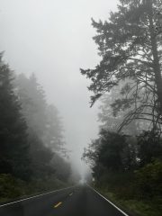 IMG_3378-conv-scaled