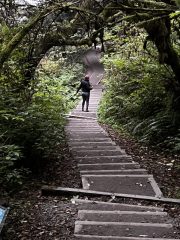 IMG_3381-conv-scaled