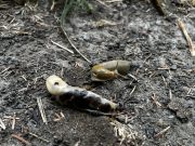 IMG_3383-conv-scaled