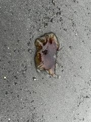 IMG_3387-conv-scaled