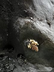 IMG_3389-conv-scaled