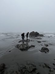 IMG_3391-conv-scaled