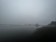 IMG_3395-conv-scaled