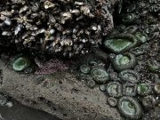 IMG_3396-conv-scaled