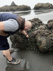 IMG_3398-conv-scaled