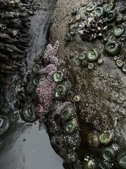 IMG_3399-conv-scaled