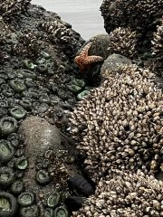 IMG_3402-conv-scaled