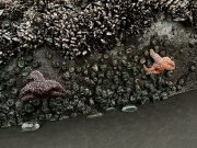 IMG_3408-conv-scaled