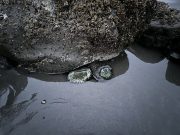 IMG_3417-conv-scaled