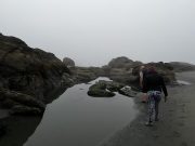 IMG_3426-conv-scaled