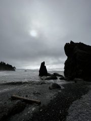 IMG_3535-conv-scaled